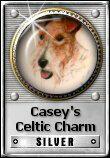 Casey's Celtic Charm Award